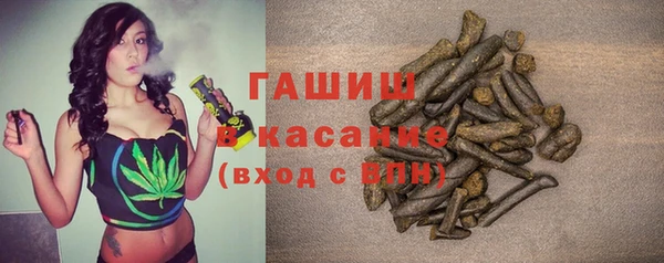 прущие грибы Гатчина