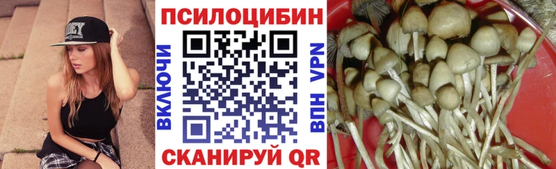 Галлюциногенные грибы Psilocybine cubensis  Козьмодемьянск 